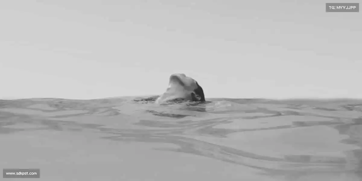 <strong>betway88西汉姆联</strong>🏃♂️运动不止步，热血正当时！